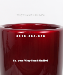 chau composite trong cay cao cap 1649 5