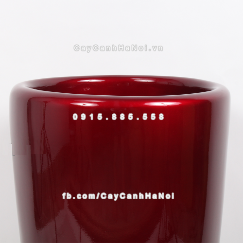 chau_composite_trong_cay_cao_cap_1649-5