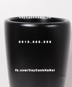 chau composite trong cay cao cap 1649 den mo 3