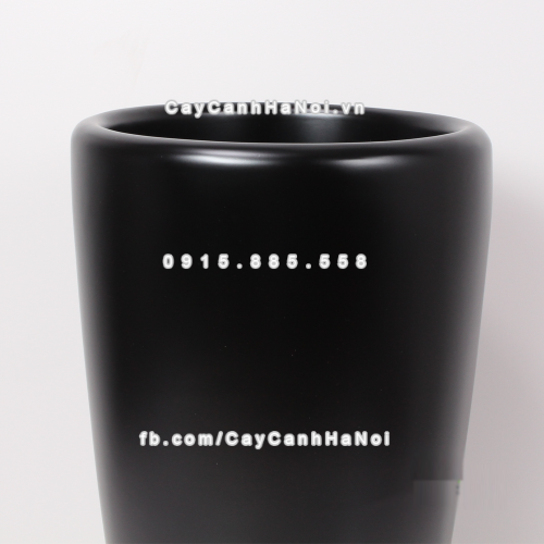 chau_composite_trong_cay_cao_cap_1649_den_mo-3