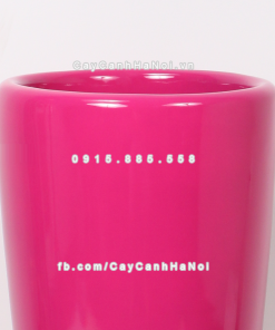 chau composite trong cay cao cap 1649 hong bong 1