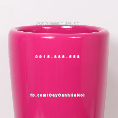 chau_composite_trong_cay_cao_cap_1649_hong_bong-1