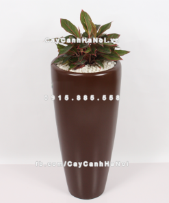 chau composite trong cay cao cap 1649 nau mo 1