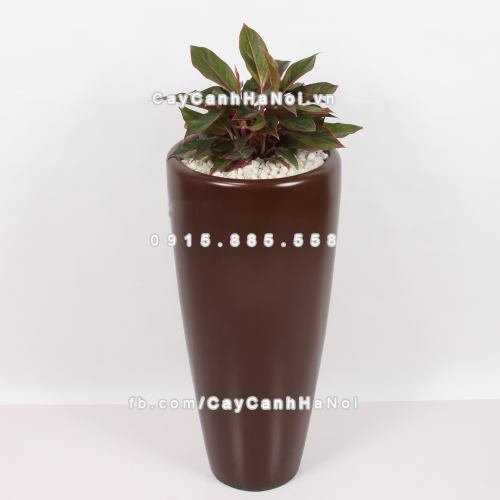 chau_composite_trong_cay_cao_cap_1649_nau_mo-1