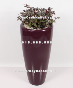 Chậu composite trồng cây cao cấp Anber 1649 (Tím bóng) 1 chau composite trong cay cao cap 1649 tim bong 2