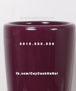Chậu composite trồng cây cao cấp Anber 1649 (Tím bóng) 3 chau composite trong cay cao cap 1649 tim bong 3
