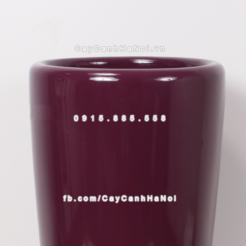 chau_composite_trong_cay_cao_cap_1649_tim_bong-3