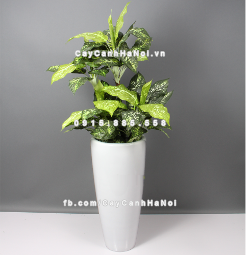 chau_composite_trong_cay_cao_cap_1649_trang_bong-3