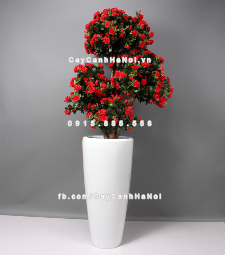 chau_composite_trong_cay_cao_cap_1649_trang_bong-5