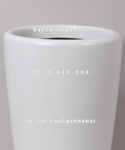 chau composite trong cay cao cap 1649 trang mo 2