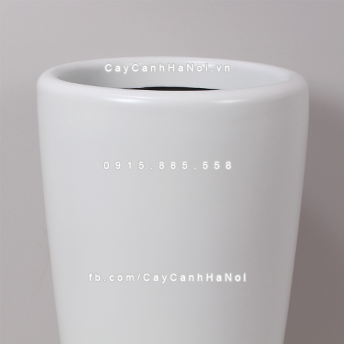 chau_composite_trong_cay_cao_cap_1649_trang_mo-2