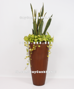Chậu composite trồng cây cao cấp Anber 1649 (Vân gỗ) 1 chau composite trong cay cao cap 1649 van go 2