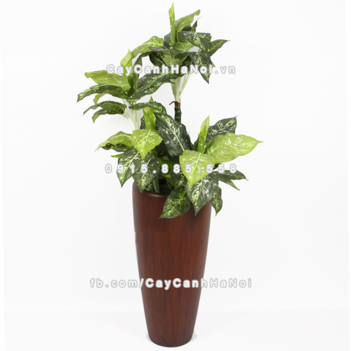 chau_composite_trong_cay_cao_cap_1649_van_go-4