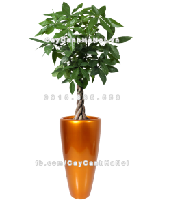 chau composite trong cay cao cap 1649 vang gold 1