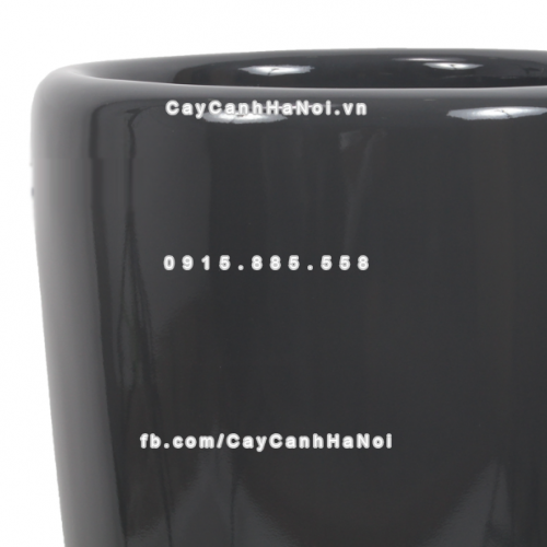 chau_composite_trong_cay_cao_cap_1649_xam_kim_loai-2