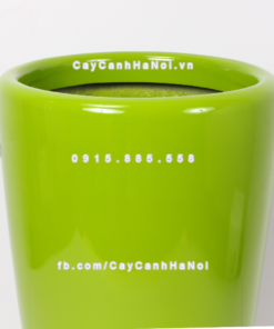 Chậu composite trồng cây cao cấp Anber 1649 (Xanh lá) 1 chau composite trong cay cao cap 1649 xang la2