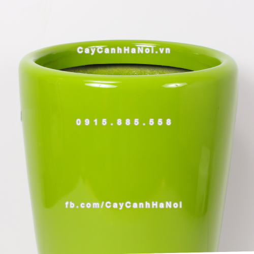 chau_composite_trong_cay_cao_cap_1649_xang-la2