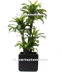 Chậu composite trồng cây cao cấp Anber 1010 (đen mờ) 1 chau composite trong cay cao cap Anber 1010den 1