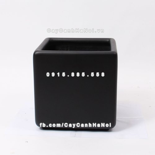 Chậu composite trồng cây cao cấp Anber 1010 (đen mờ) 7 chau_composite_trong_cay_cao_cap_anber-1010den-4