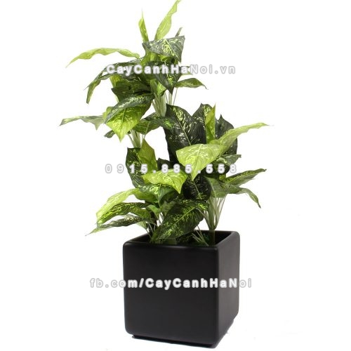 Chậu composite trồng cây cao cấp Anber 1010 (đen mờ) 5 chau_composite_trong_cay_cao_cap_anber-1010den-5