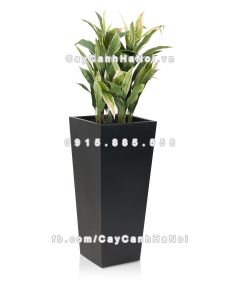 chau composite trong cay cao cap Anber 1014den 1