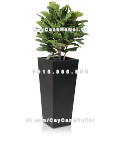 chau composite trong cay cao cap Anber 1014den 3