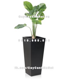 chau composite trong cay cao cap Anber 1014den 4