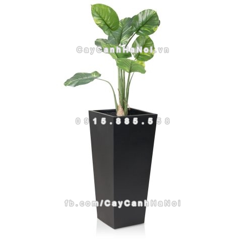 chau_composite_trong_cay_cao_cap_anber-1014den-4