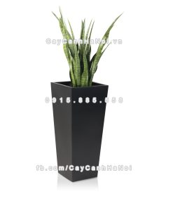 chau composite trong cay cao cap Anber 1014den 6