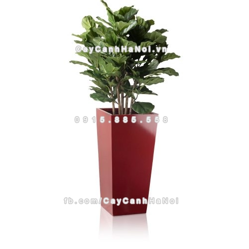 Chậu composite trồng cây cao cấp Anber 1014 (đỏ đô) 2 chau_composite_trong_cay_cao_cap_anber-1014nau_mo-2