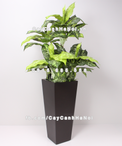 Chậu composite trồng cây cao cấp Anber 1014 (Nâu mờ) 2 chau composite trong cay cao cap Anber 1014nau mo 3