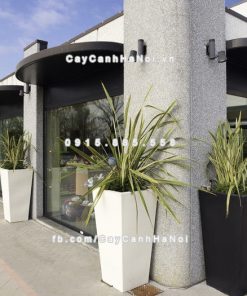 chau composite trong cay cao cap Anber 1014trang bong 1