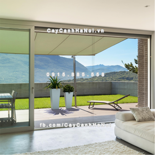 chau_composite_trong_cay_cao_cap_anber-1014trang_bong-3