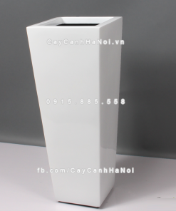 chau composite trong cay cao cap Anber 1014trang bong 5