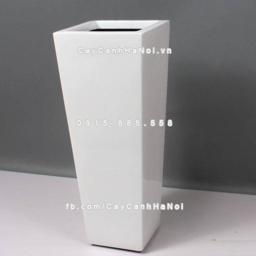 chau_composite_trong_cay_cao_cap_anber-1014trang_bong-5