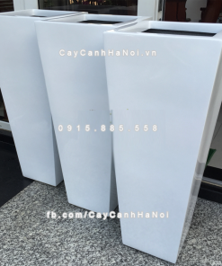 chau composite trong cay cao cap Anber 1014trang bong 6