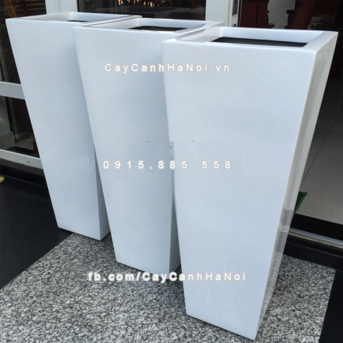 chau_composite_trong_cay_cao_cap_anber-1014trang_bong-6