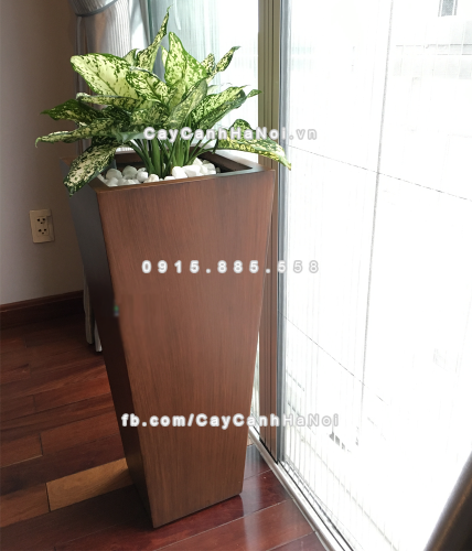 Chậu composite trồng cây cao cấp Anber 1014 (Vân gỗ) 6 chau_composite_trong_cay_cao_cap_anber-1014van_go-3