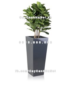 chau composite trong cay cao cap Anber 1014xam bong 1