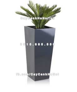 chau composite trong cay cao cap Anber 1014xam bong 2