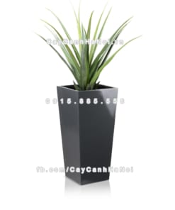 chau composite trong cay cao cap Anber 1014xam bong 3