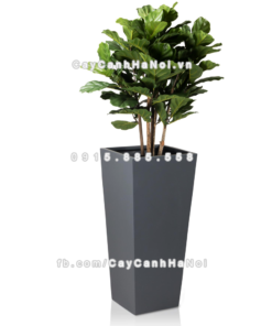 chau composite trong cay cao cap Anber 1014xam mo 1