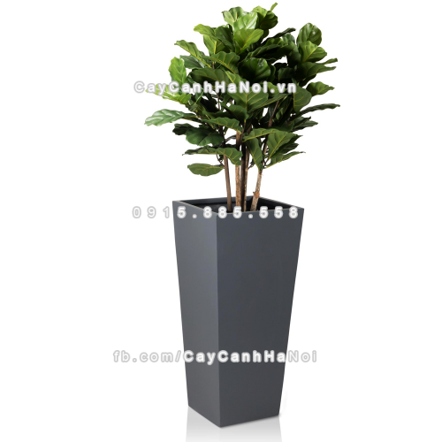 chau_composite_trong_cay_cao_cap_anber-1014xam_mo-1