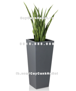 chau composite trong cay cao cap Anber 1014xam mo 2