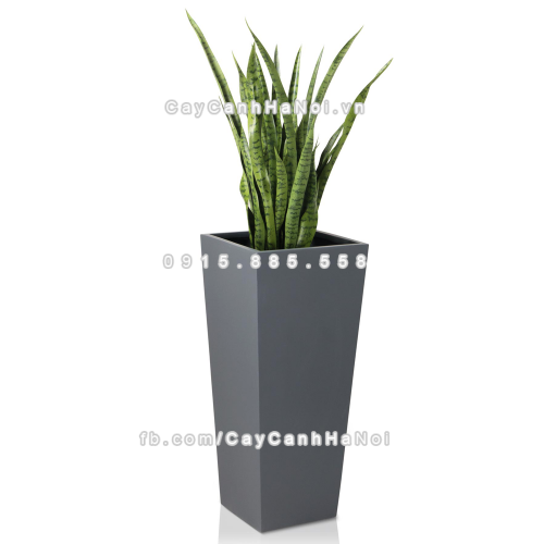 chau_composite_trong_cay_cao_cap_anber-1014xam_mo-2