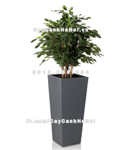 chau composite trong cay cao cap Anber 1014xam mo 4