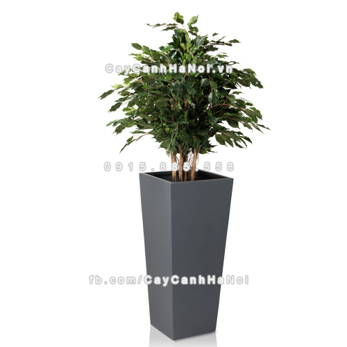 chau_composite_trong_cay_cao_cap_anber-1014xam_mo-4