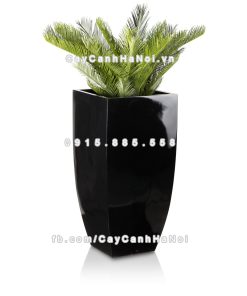 chau composite trong cay cao cap Anber 1025den bong 1