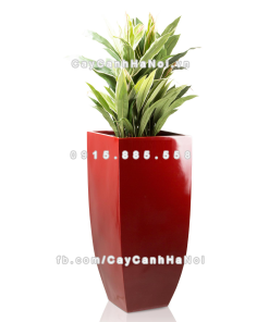 chau composite trong cay cao cap Anber 1025do do bong 1