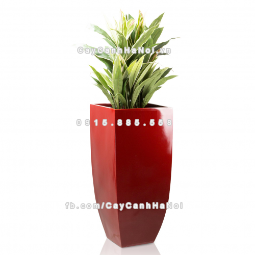 chau_composite_trong_cay_cao_cap_anber-1025do_do_bong-1